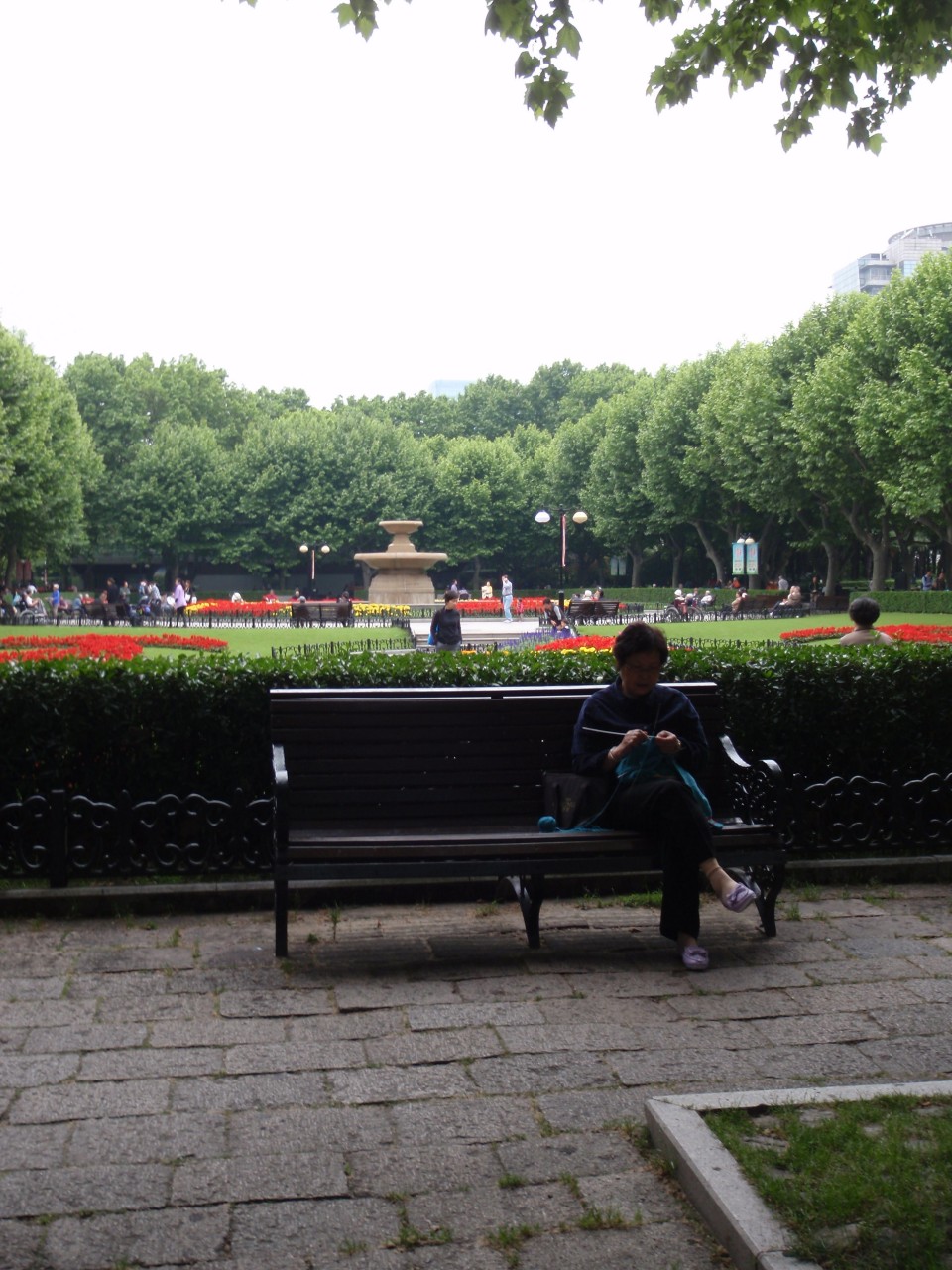 sm_P5193764.JPG