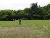 sm_DSCN3140.JPG