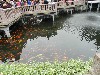 sm_DSCN3193.JPG