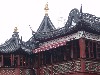 sm_P5193806.JPG