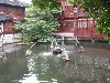 sm_P5193837.JPG
