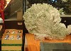 sm_P5193883.JPG