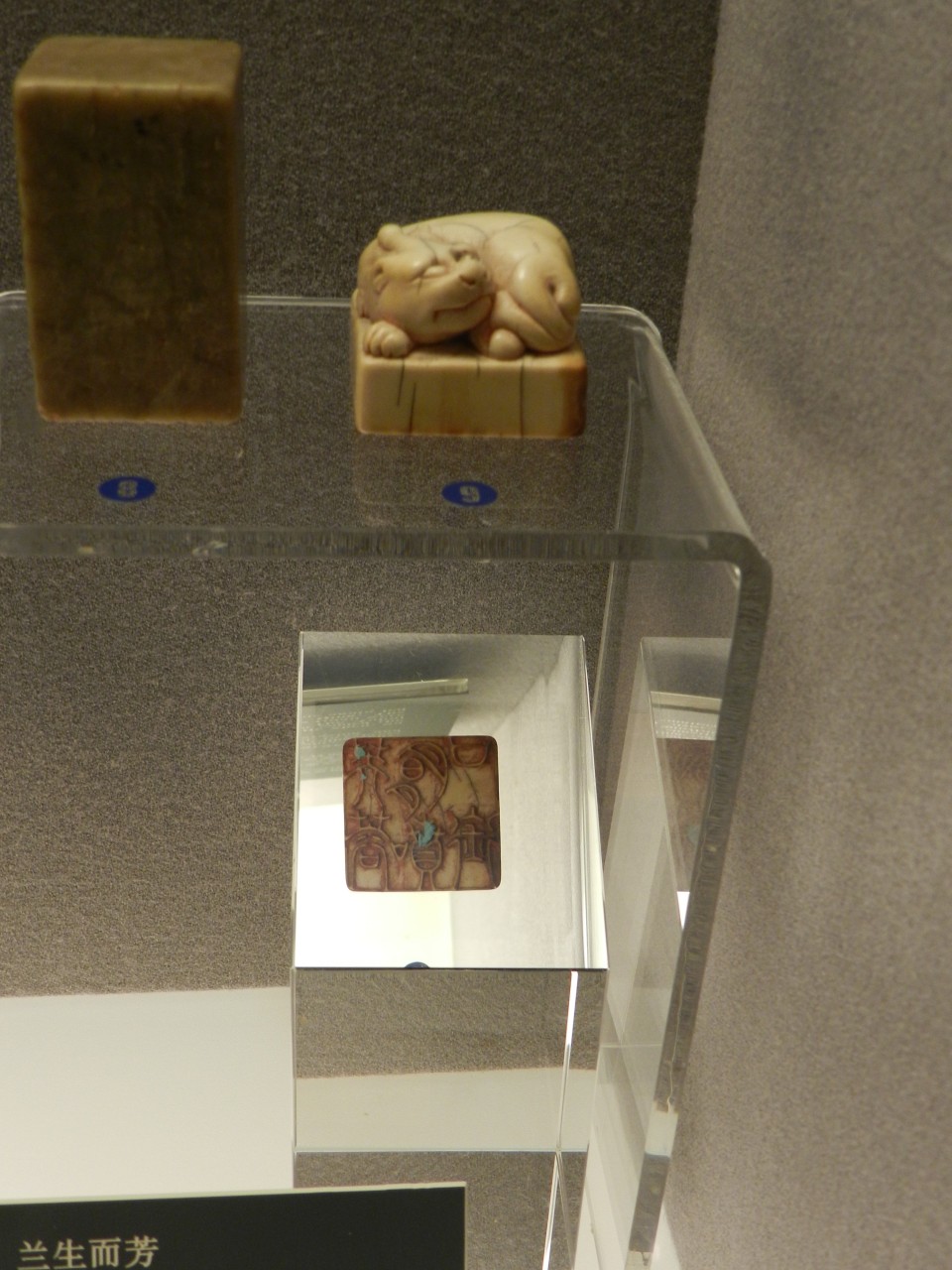 sm_DSCN3441.JPG