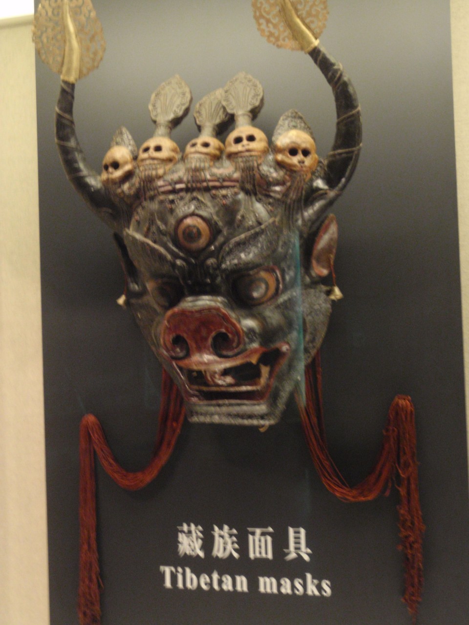 sm_P5203941.JPG