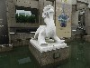 sm_DSCN3277.JPG