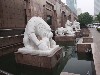 sm_P5203926.JPG