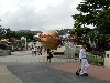 sm_DSCN4012.JPG