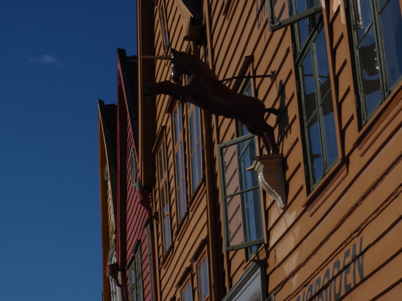 sm_P9056092.JPG