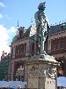sm_P9056049.JPG