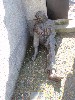 sm_P9056051.JPG