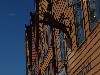 sm_P9056092.JPG
