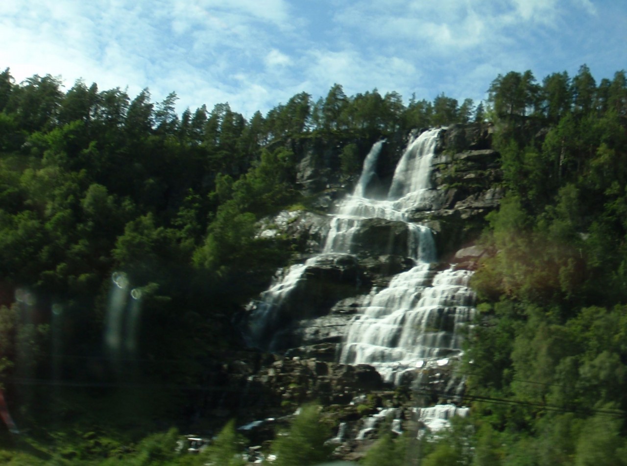 sm_P9066232.JPG