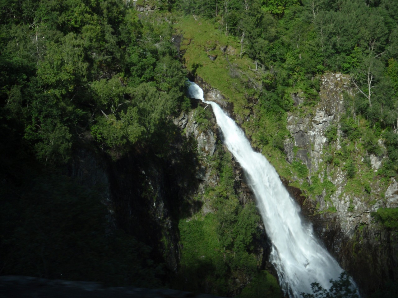 sm_P9066251.JPG