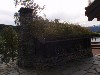 sm_P9066230.JPG