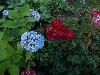 sm_P9066381.JPG