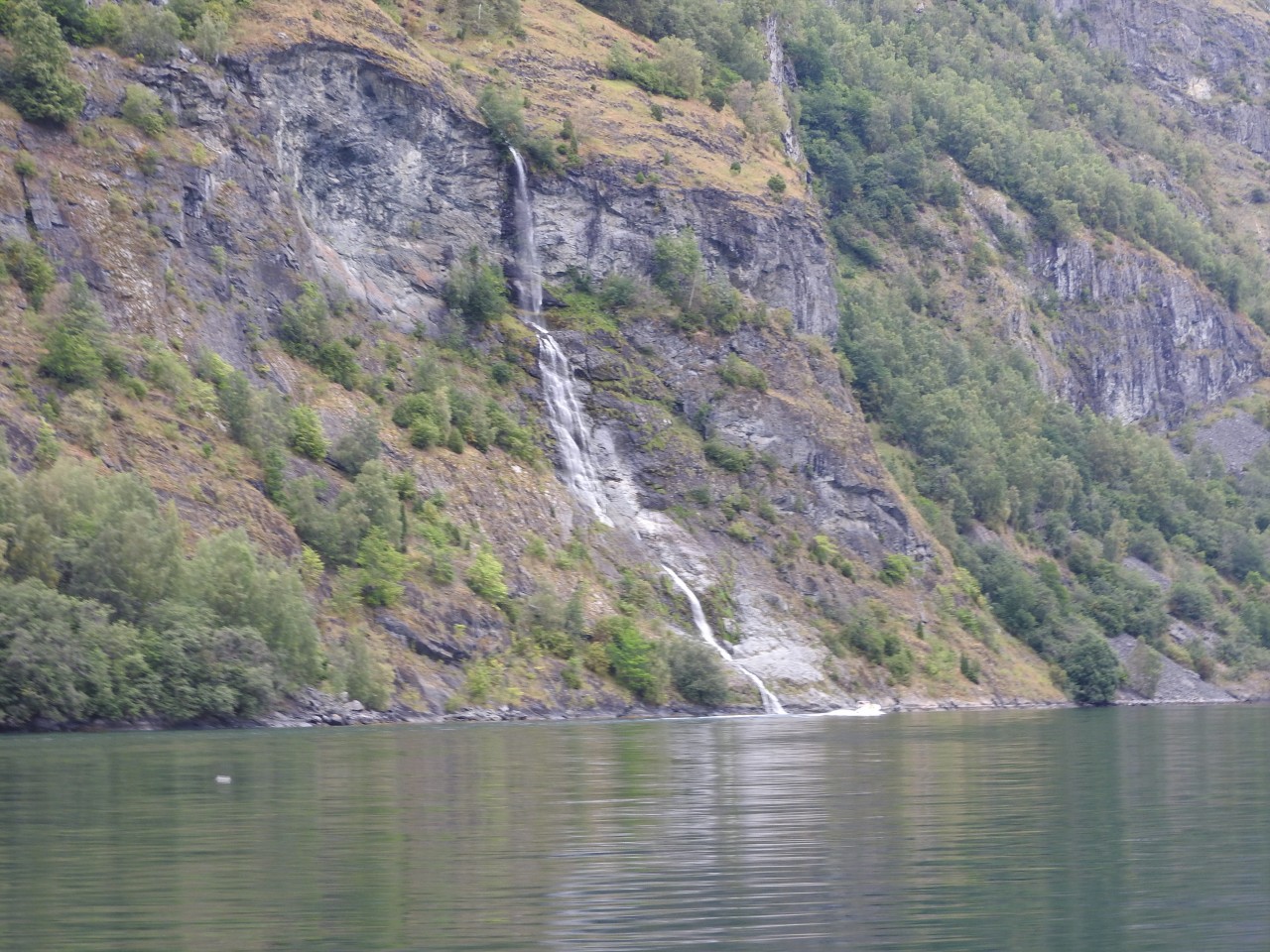 sm_DSCN3586.JPG