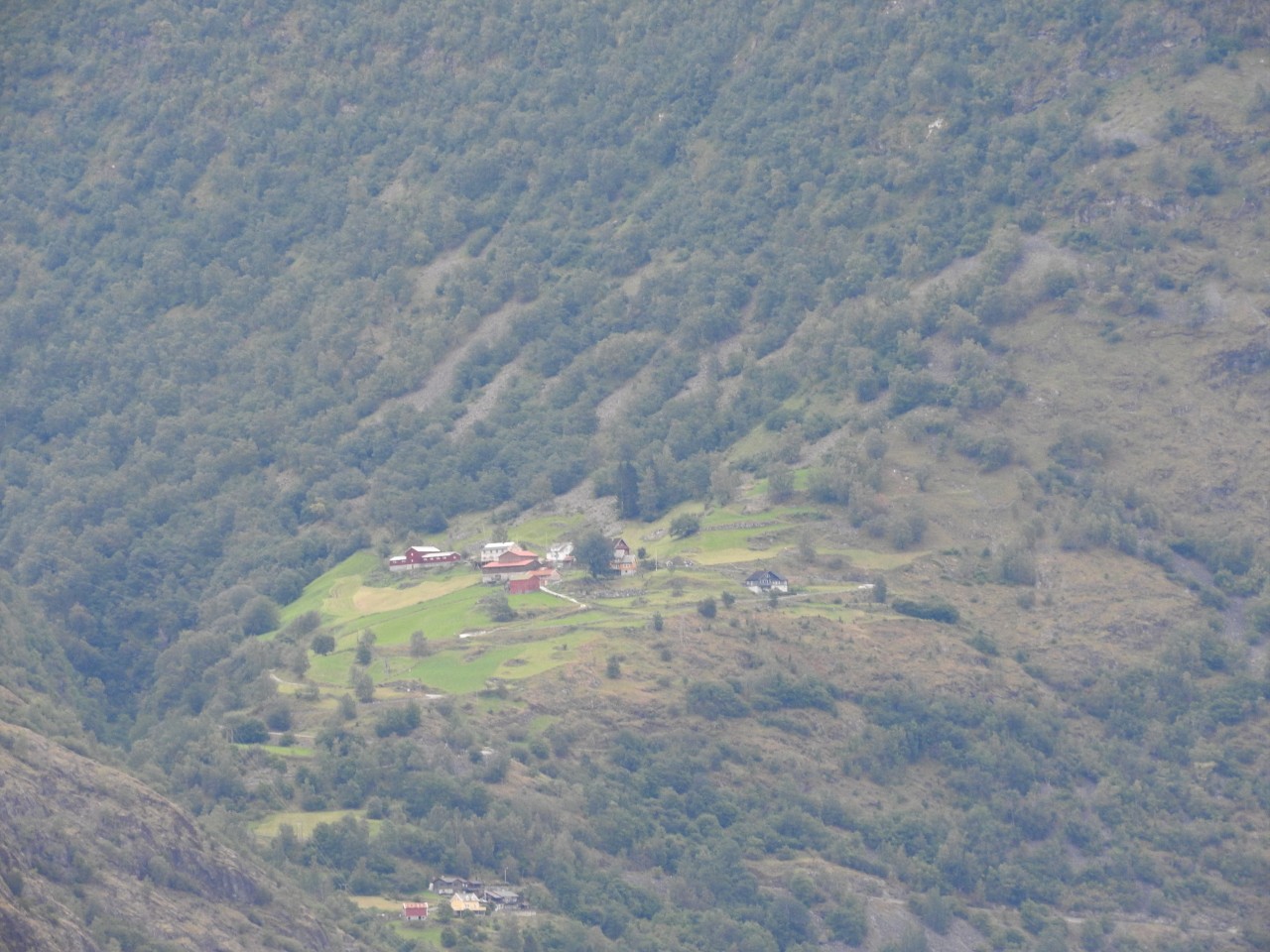 sm_DSCN3702.JPG