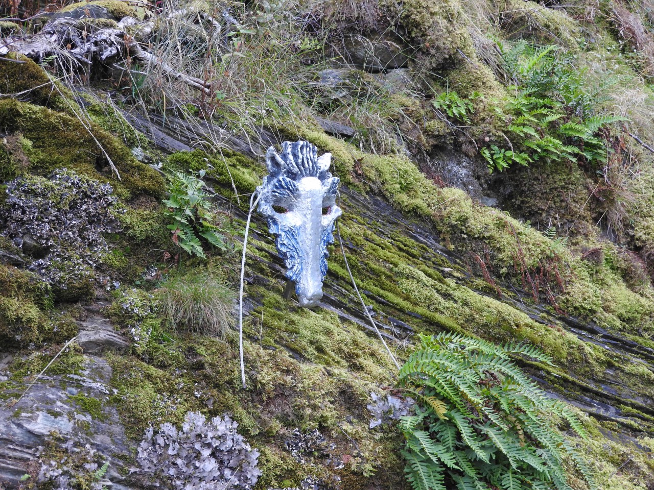 sm_DSCN4265.JPG
