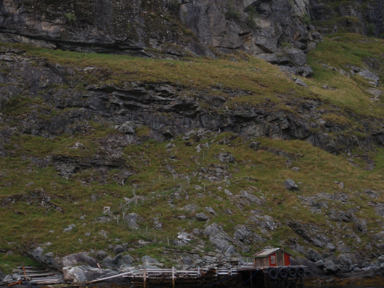 sm_P9076643.JPG