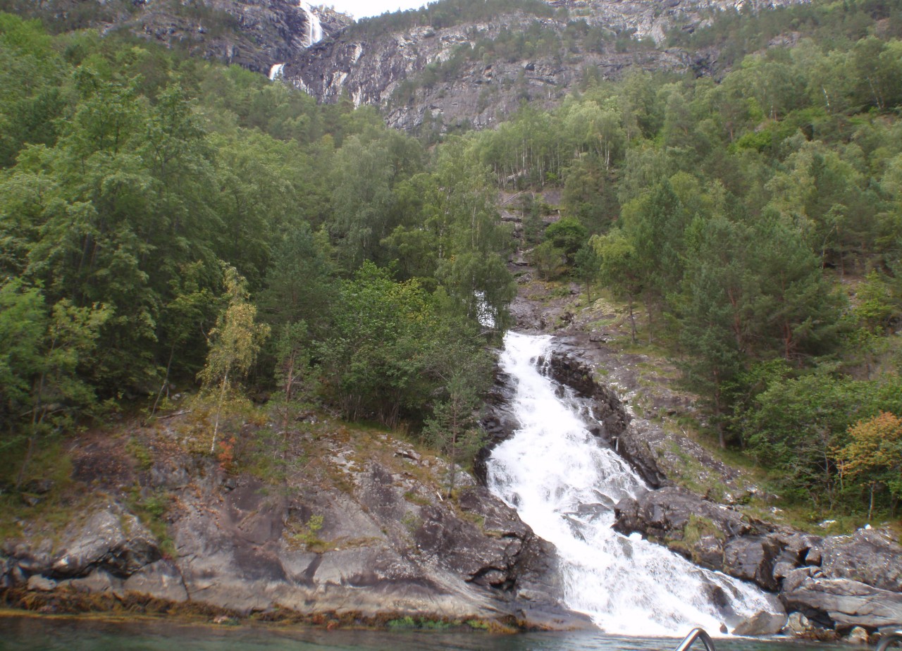 sm_P9076675.JPG