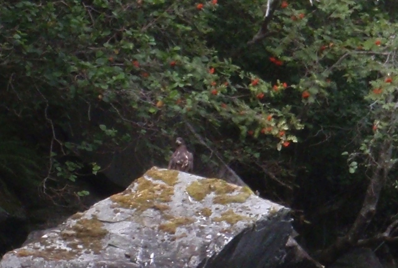 sm_P9076687.JPG