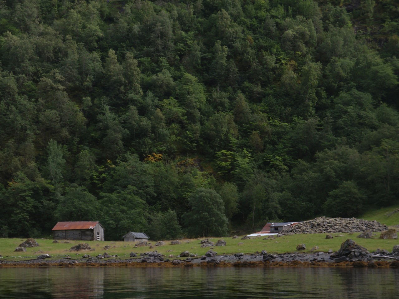sm_P9076781.JPG