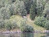 sm_DSCN3625.JPG