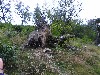 sm_DSCN4242.JPG