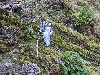 sm_DSCN4265.JPG