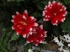 sm_P9076597.JPG