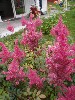 sm_P9076612.JPG