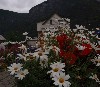 sm_P9076617.JPG