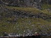 sm_P9076643.JPG