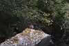 sm_P9076687.JPG