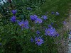 sm_P9076938.JPG