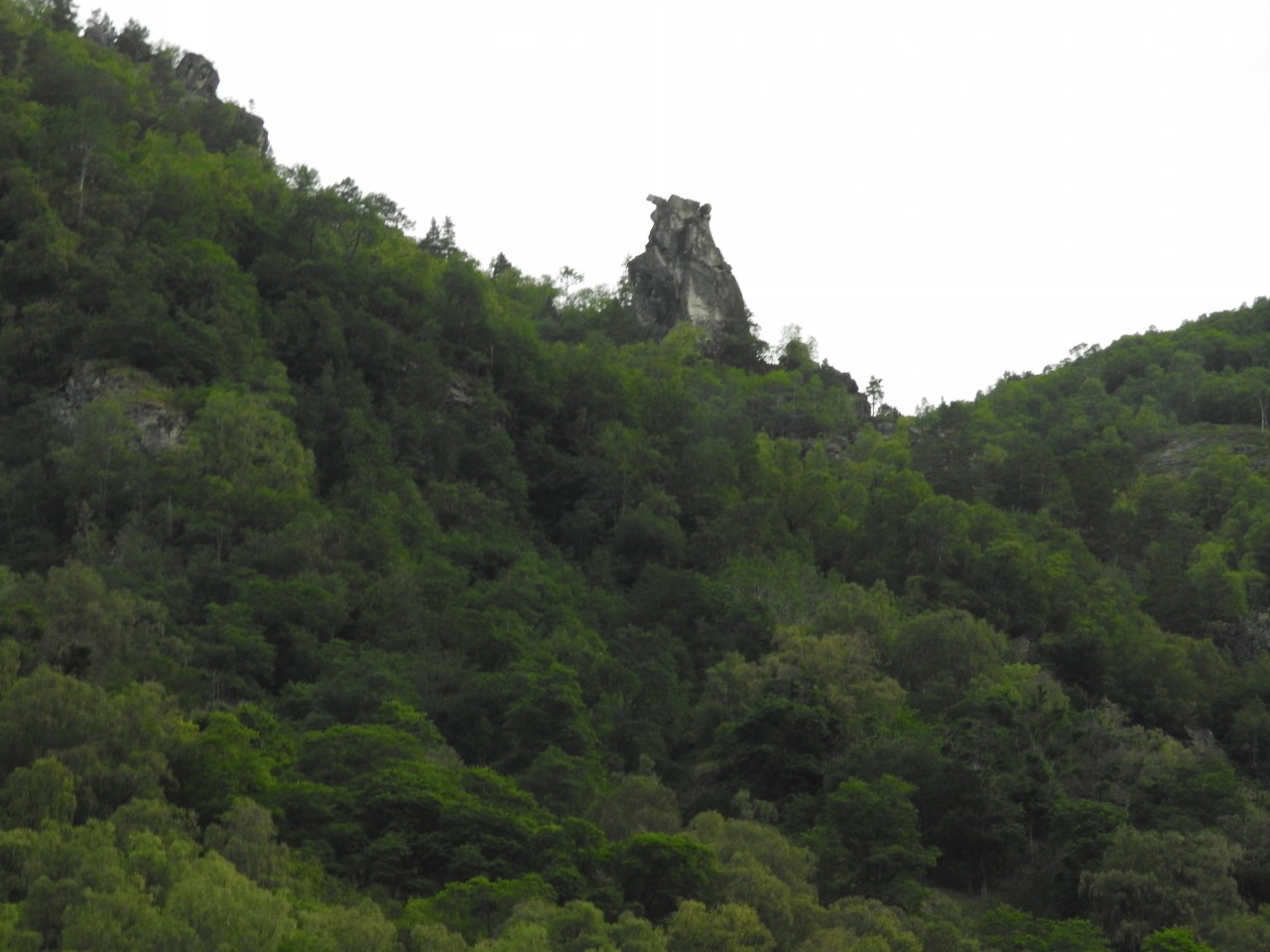 sm_DSCN4321.JPG