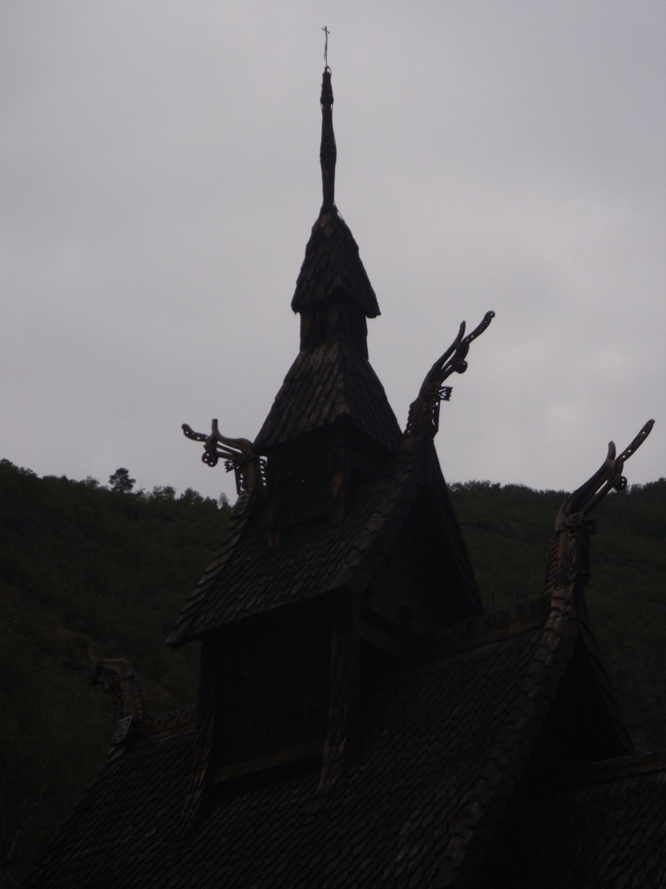 sm_P9086966.JPG