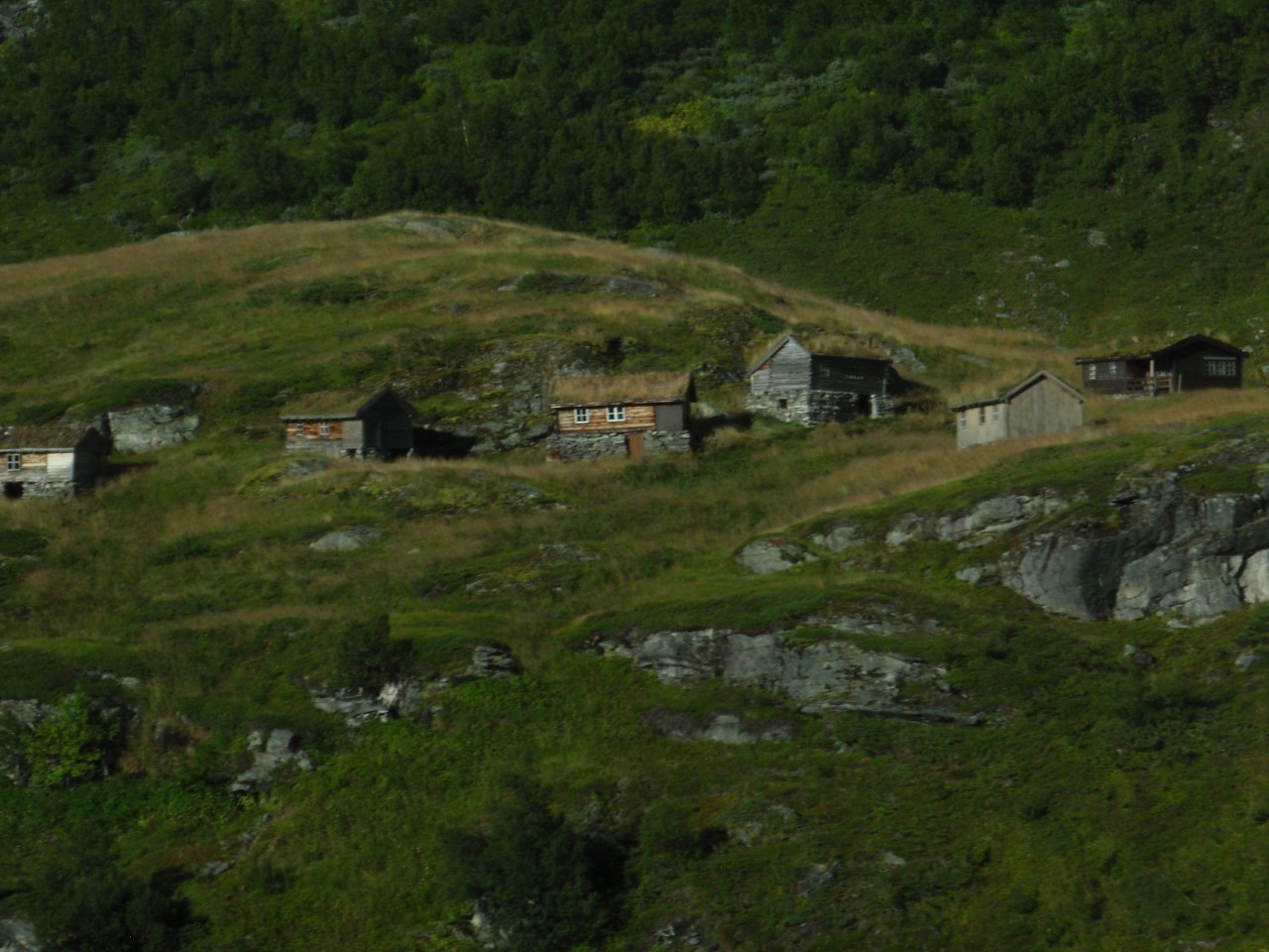 sm_P9087242.JPG