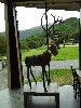 sm_DSCN4485.JPG