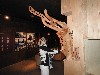 sm_DSCN4497.JPG