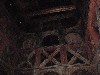 sm_P9087036.JPG