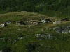 sm_P9087242.JPG