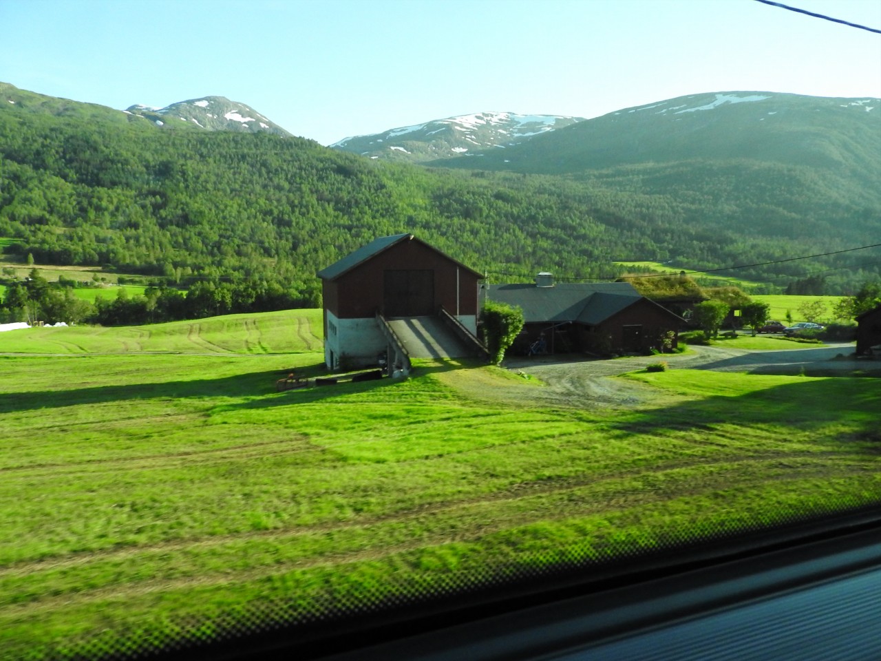 sm_DSCN4900.JPG