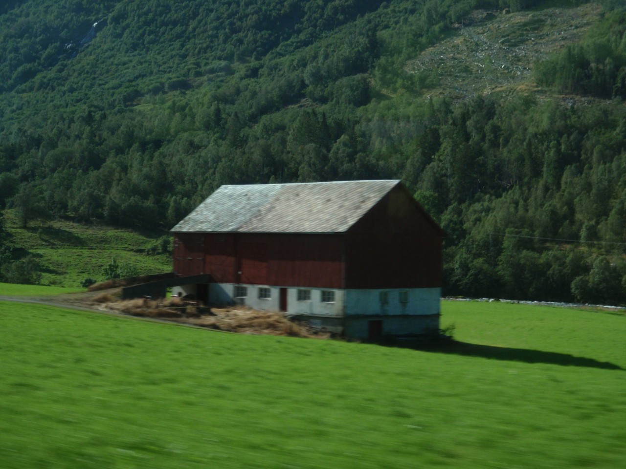 sm_P9097468.JPG