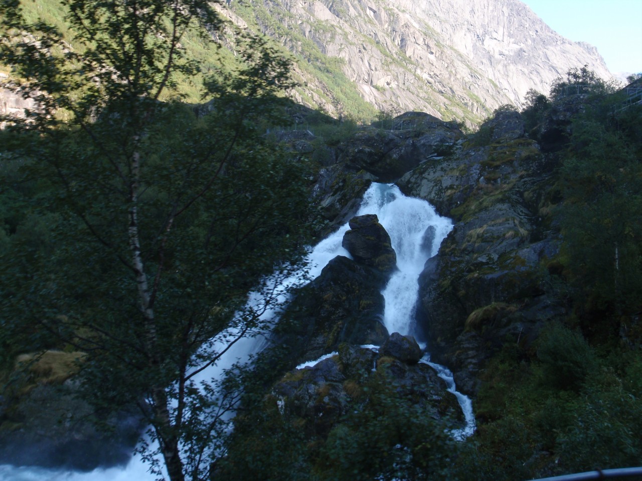 sm_P9097535.JPG