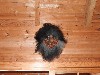 sm_DSCN4836.JPG