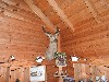 sm_DSCN4838.JPG