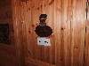 sm_DSCN4846.JPG