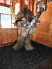 sm_DSCN4849.JPG