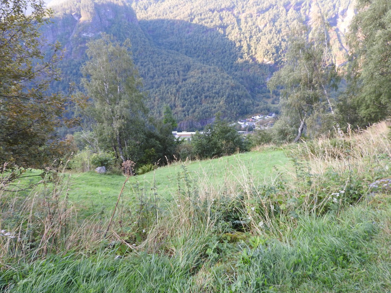 sm_DSCN5025.JPG
